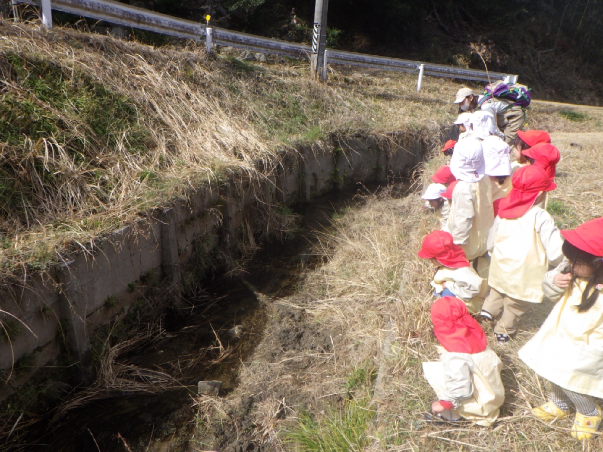 【くも】3/2　村積山　園外保育