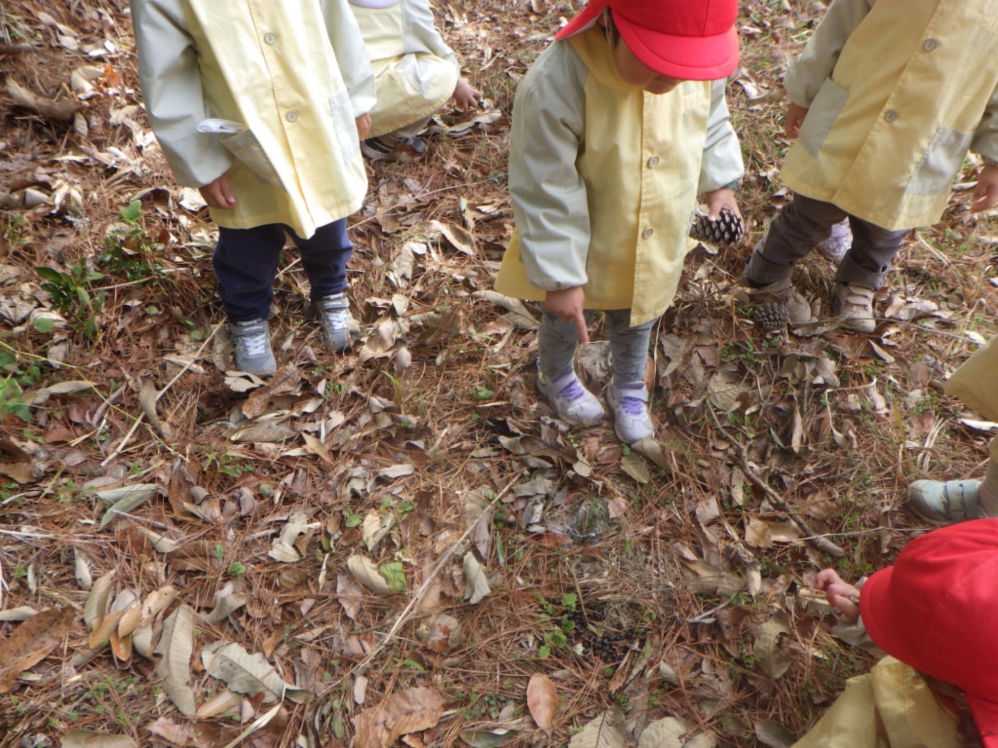 【くも】3/2　村積山　園外保育