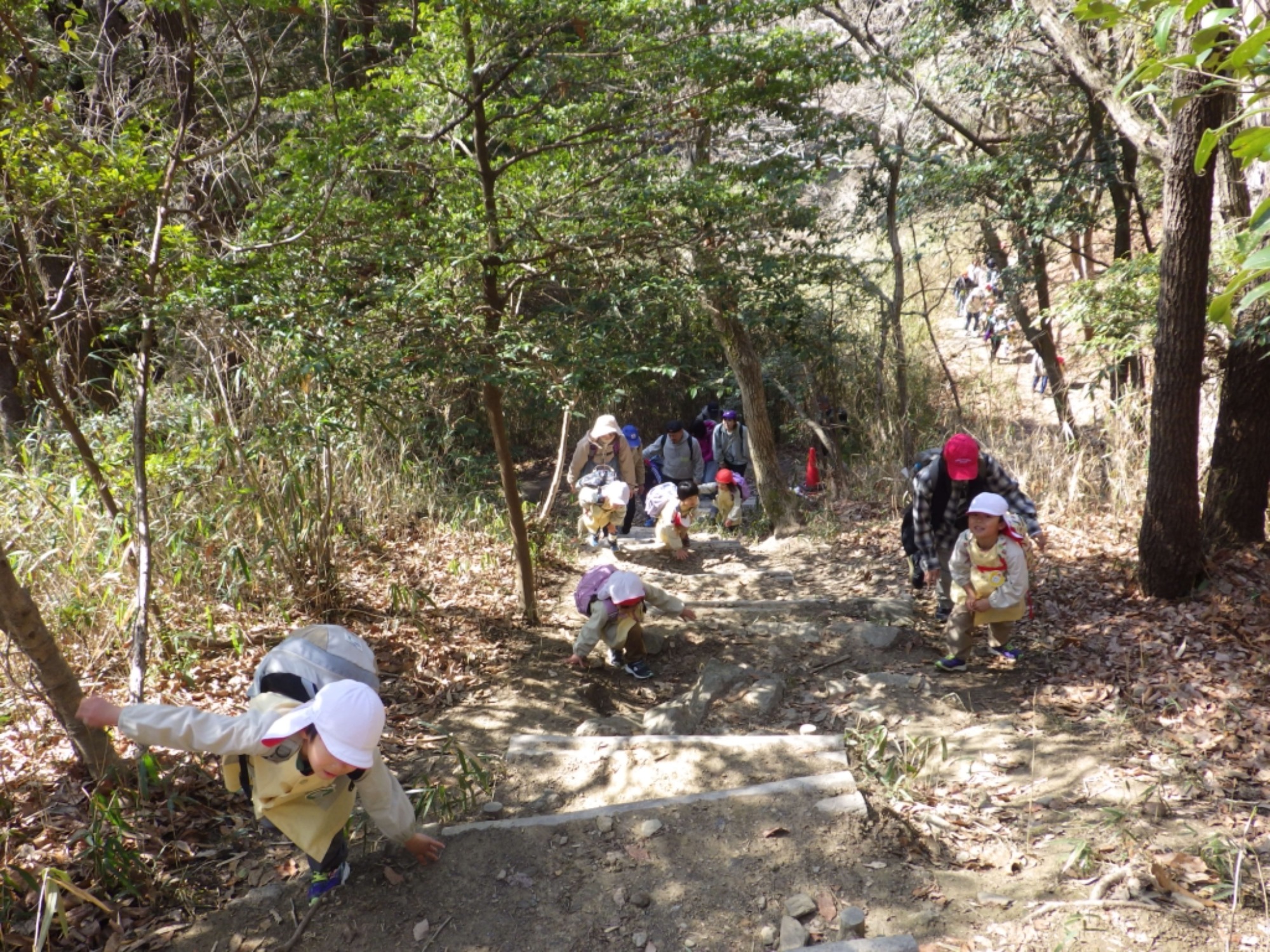 【年中】3/5　村積山　お別れ園外保育（1/3）