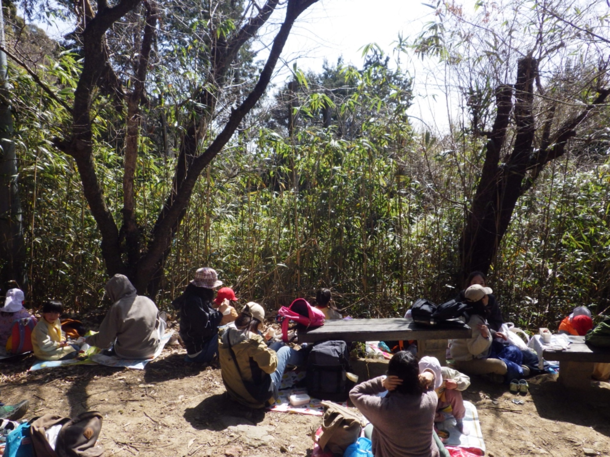 【年中】3/5　村積山　お別れ園外保育（2/3）