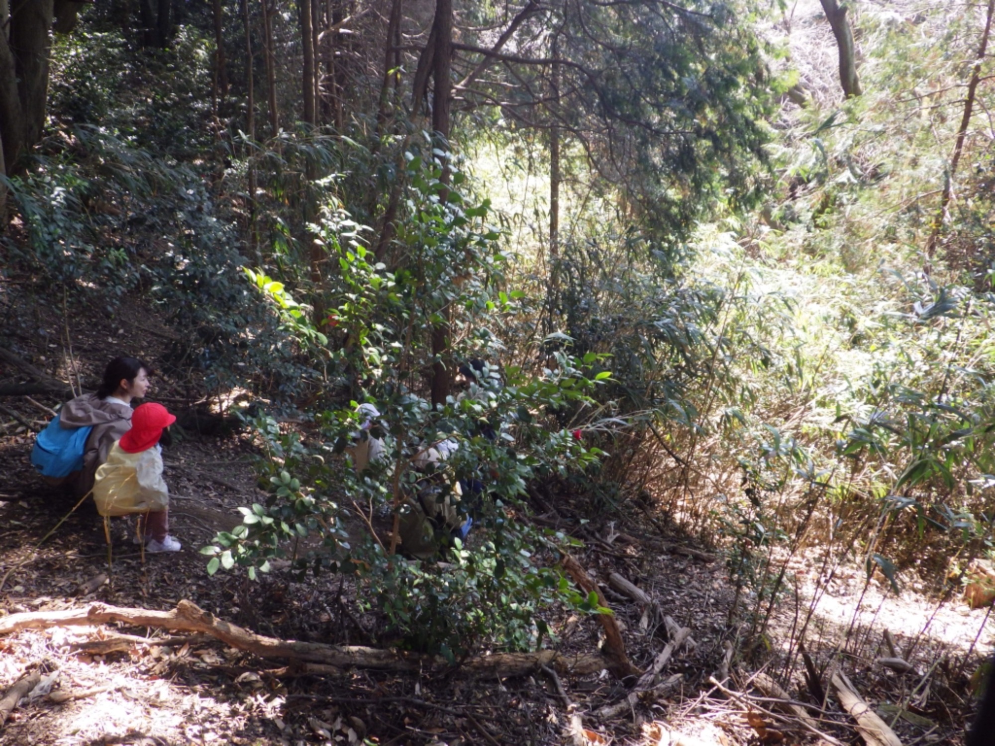 【年中】3/5　村積山　お別れ園外保育（2/3）