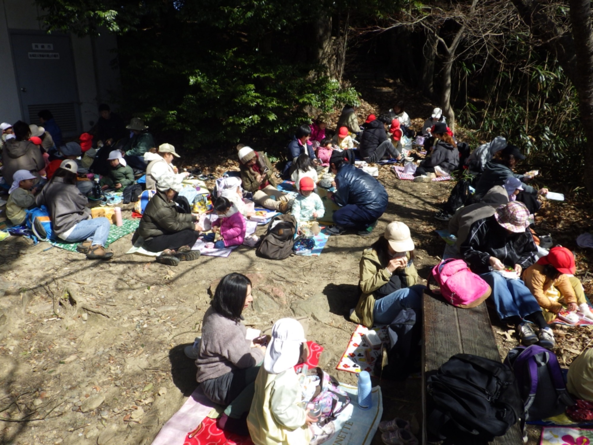 【年中】3/5　村積山　お別れ園外保育（2/3）