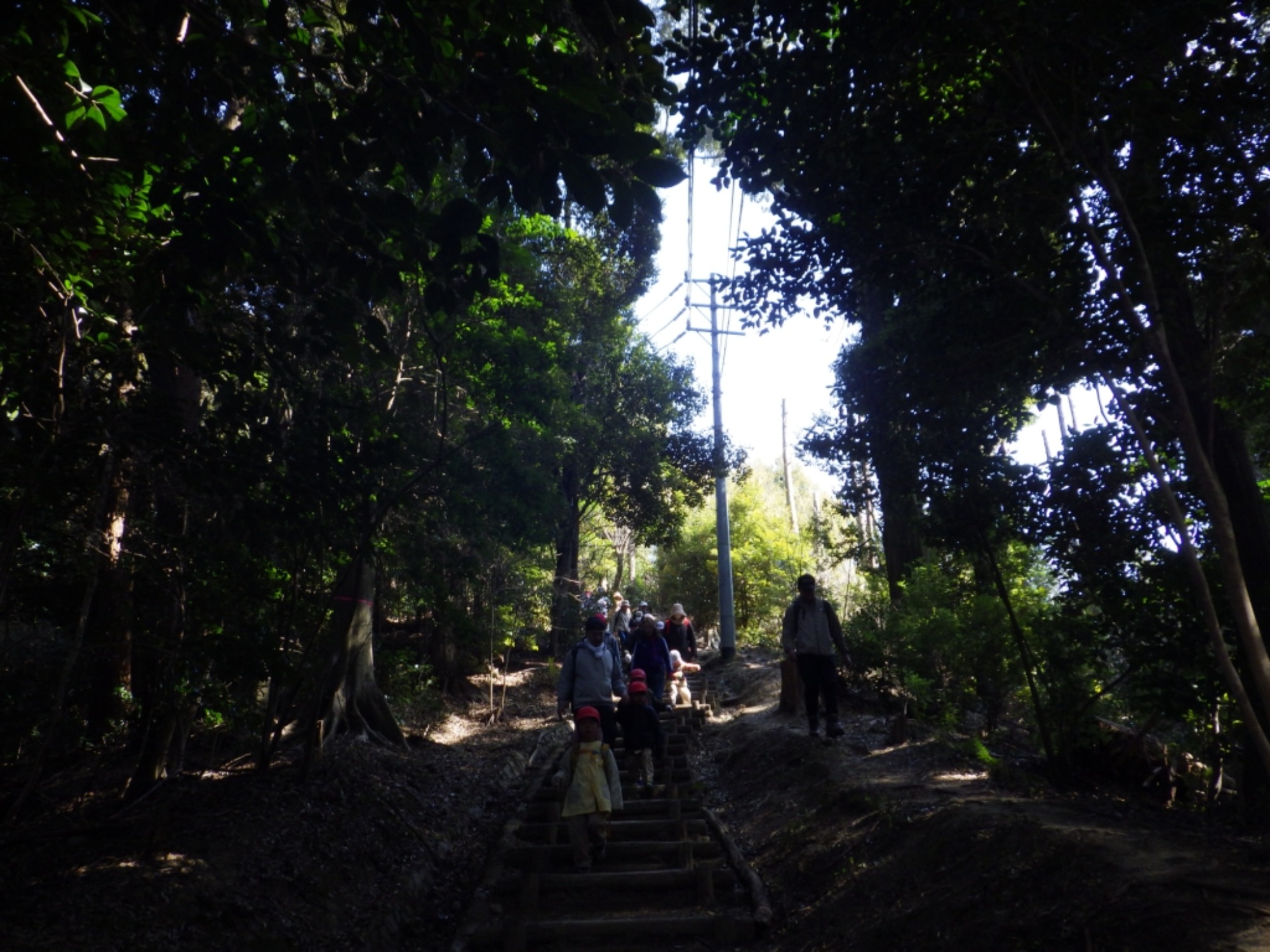 【年中】3/5　村積山　お別れ園外保育（3/3）