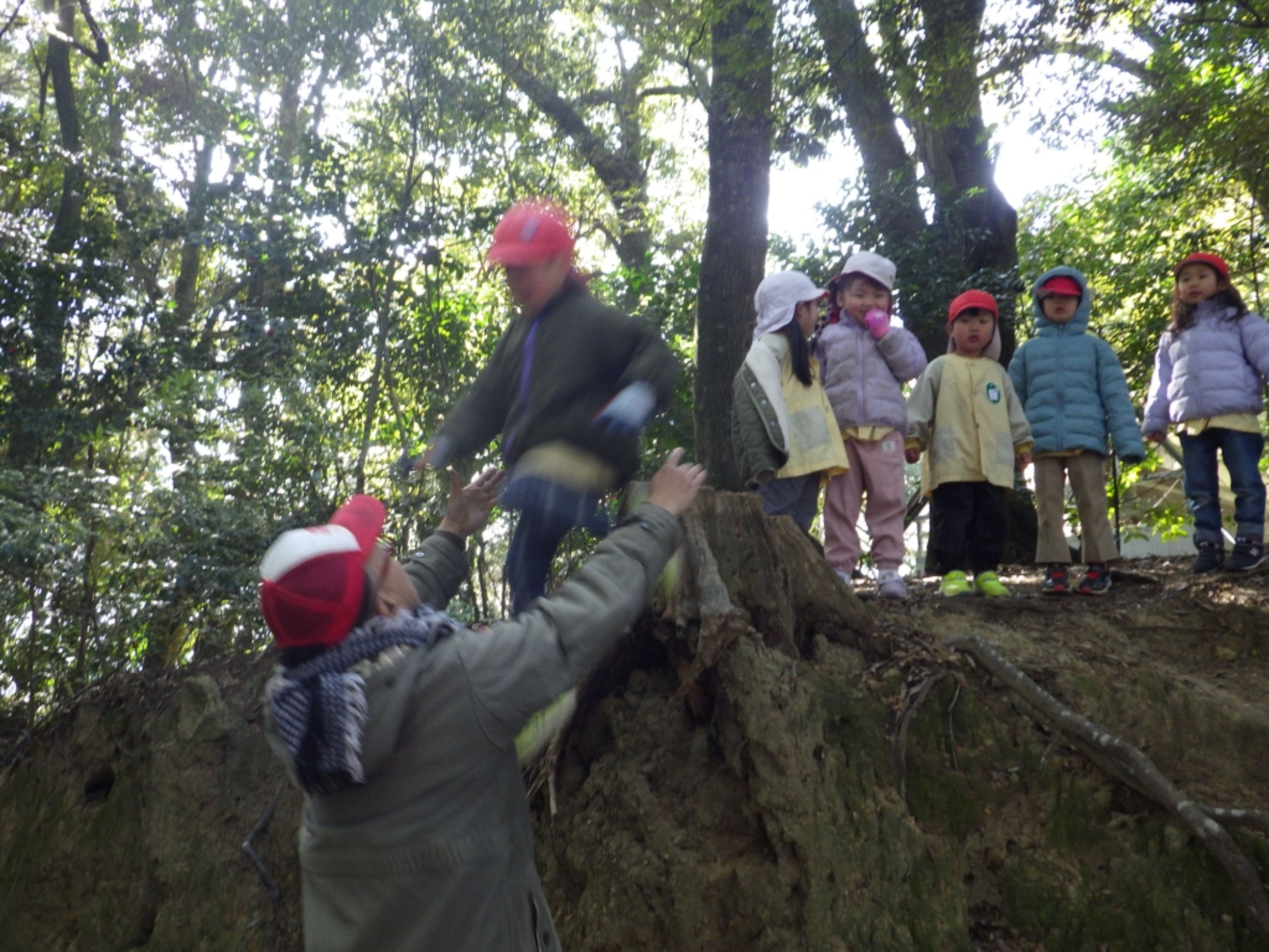 【年中】3/5　村積山　お別れ園外保育（3/3）