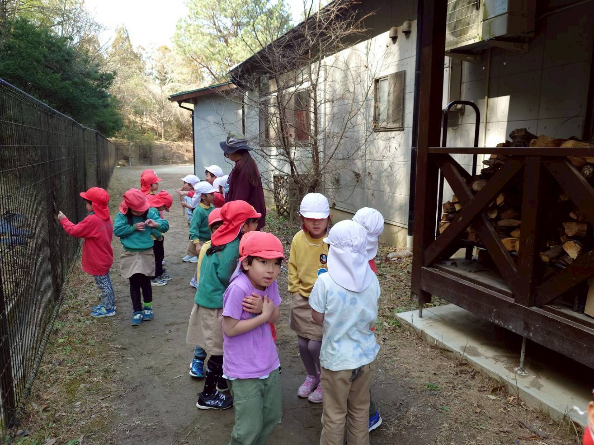 年長スペシャルデー(1/2)