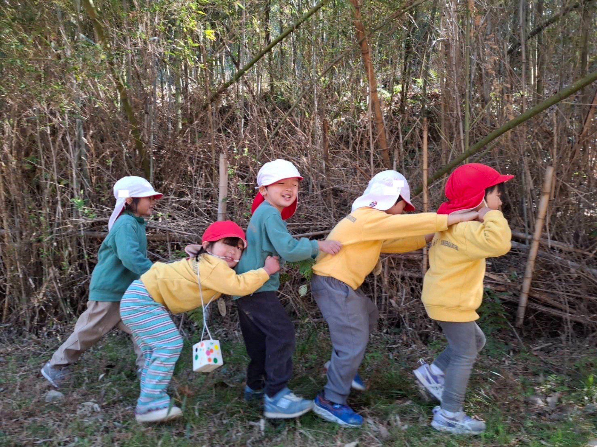 最近のくもぐみさん