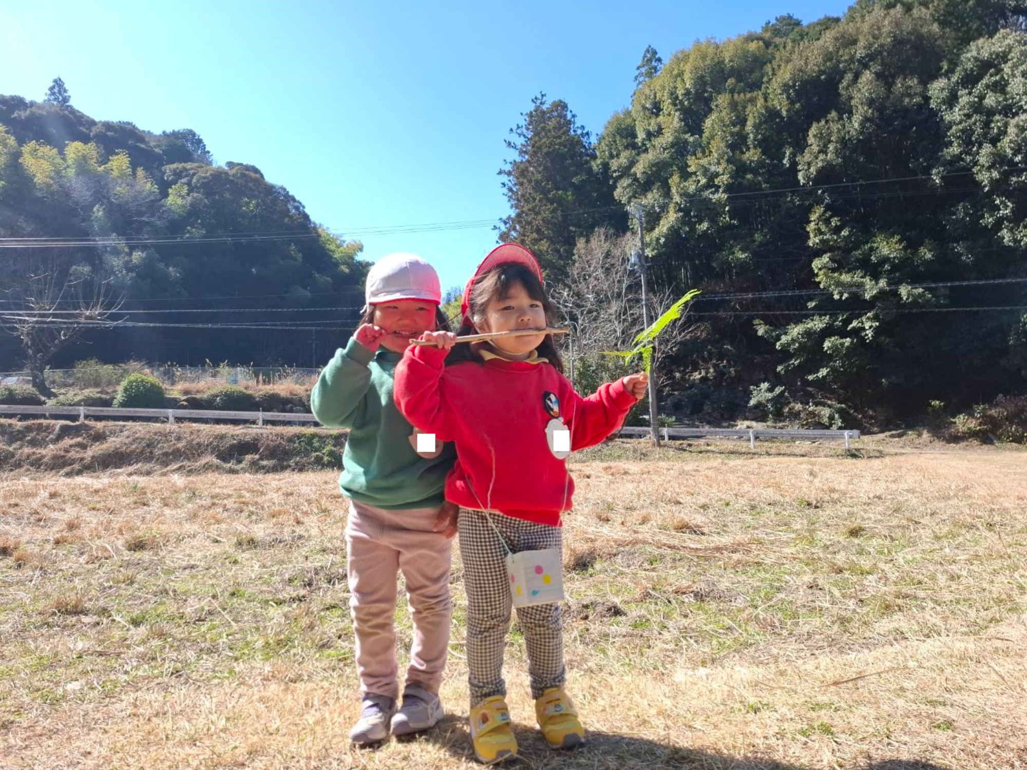 最近のくもぐみさん