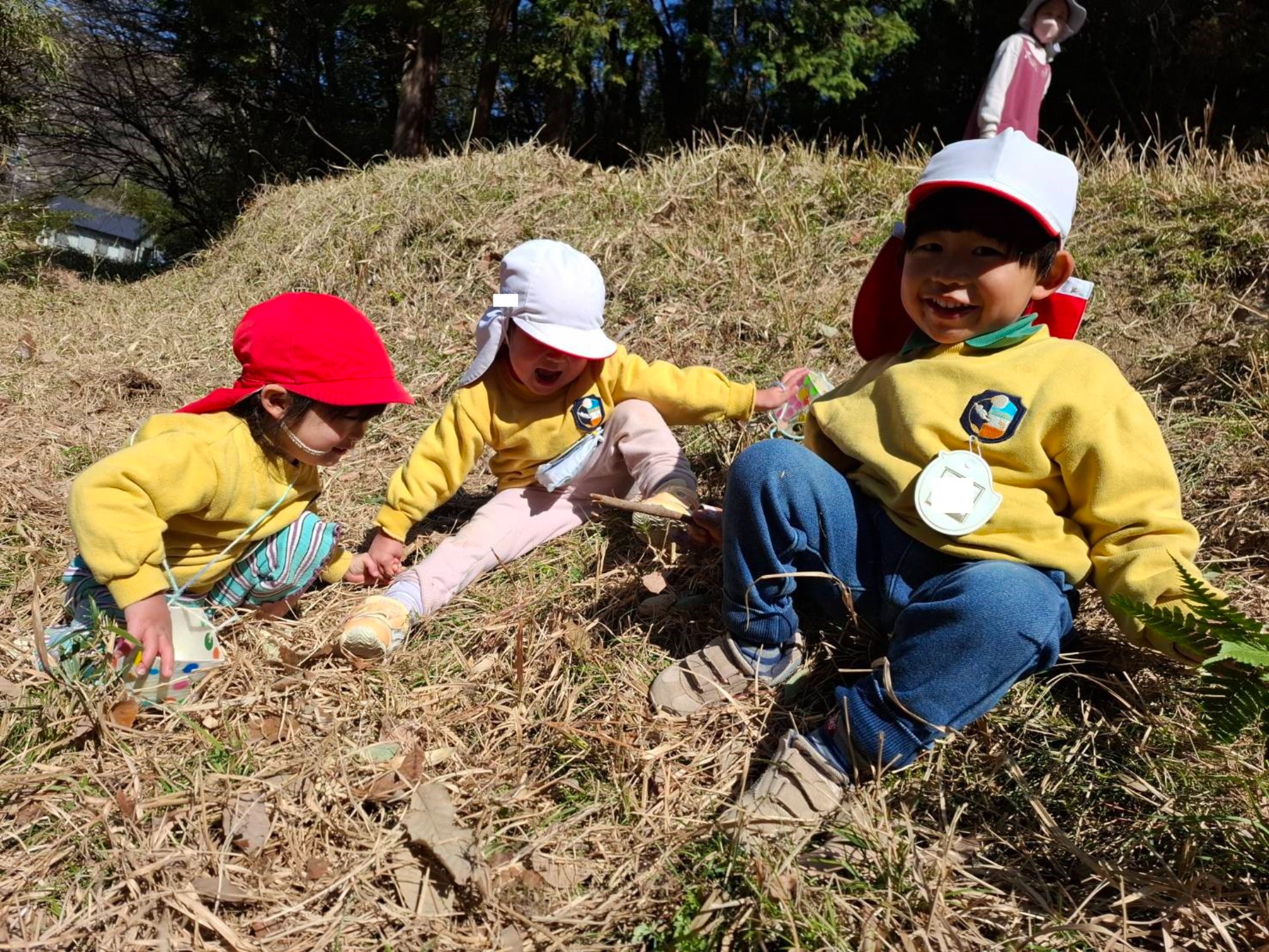最近のくもぐみさん