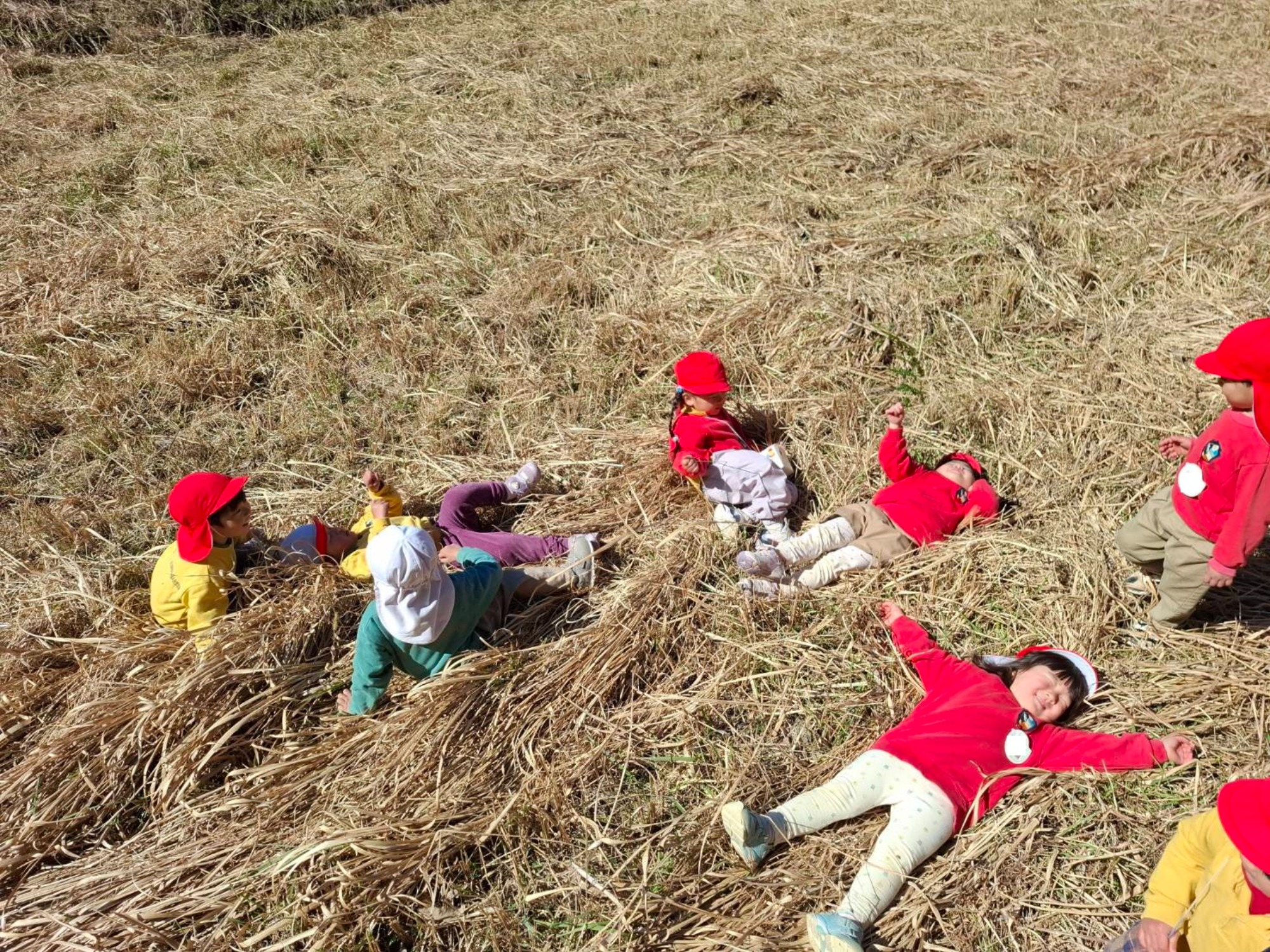 最近のくもぐみさん